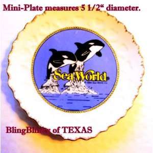 Shamu Killer Whale SeaWorld San Antonio TEXAS Wall Collector Plate 