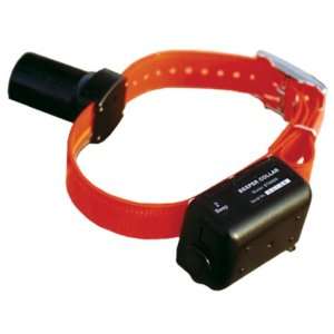  D.T. Systems® Baritone Beeper Collar