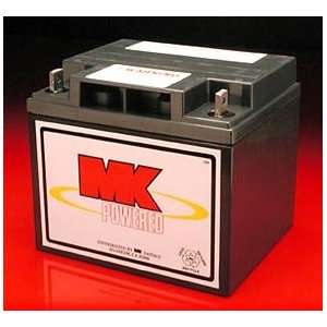  40 Amp Sealed AGM Battery