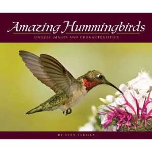  New Adventure Publications Inc Amazing Hummingbirds Unique 