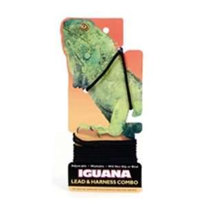  Coastal Pet Li`l Pals Iguana Leash / Lead & Harness (Blue 