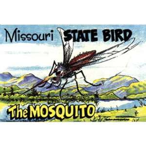  Missouri Postcard 12804 State Bird Case Pack 750 Sports 