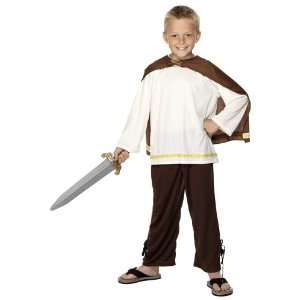  Viking Boy Costume Age 9 12 Years Approx Height 150cm 