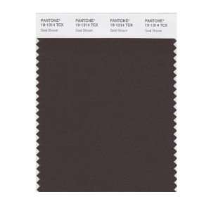  PANTONE SMART 19 1314X Color Swatch Card, Seal Brown