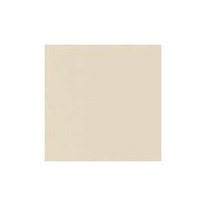  5X12 1530 60 350 Solid Beige