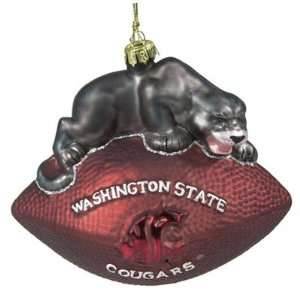  SC Sports 17225 Collegiate 6 Glass Mascot and Football 