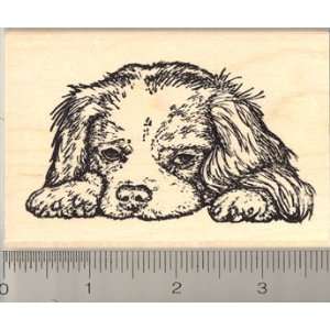  Cavalier King Charles Spaniel Dog Rubber Stamp Arts 
