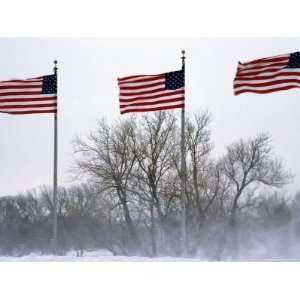  American Flags Blow in a Winter Storm, Washington, D.C 