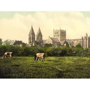  Poster   Southwell Cathedral and abbey ruins Notts England 24 X 18