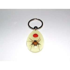  Glow in the dark Real Insect Keychain   Spiny Spider with 