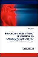 Functional Role Of Nfat In Attia Anwar