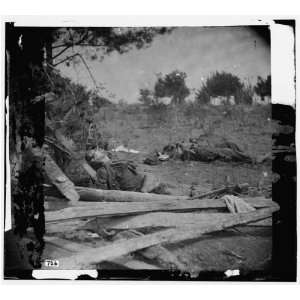   Bodies of Confederate soldiers near Mrs. Alsops house
