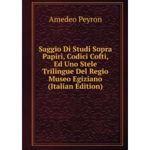   Museo Egiziano (Italian Edition) Amedeo Peyron  Books