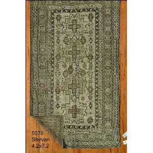  4x7 Hand Knotted Shirvan Caucasian Rug   42x72