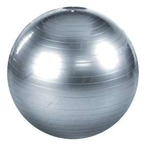  Bell Body Ball Kit (65cm, Silver)