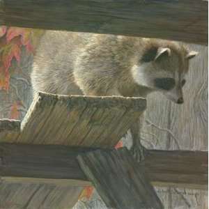  Robert Bateman   The Prowler Raccoon