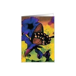  Spicebush Swallowtail Butterfly Watercolor Card Health 