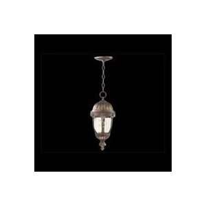  7705   The Tarlow Family 1 Light Outdoor Pendant