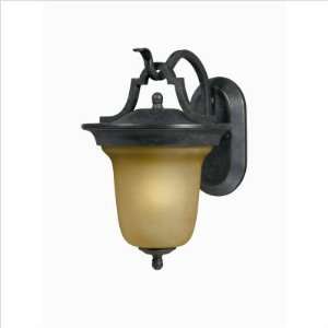 Triarch Lighting 78200 12 / 78201 12 One Light Outdoor Wall Lantern 