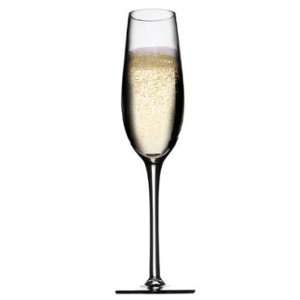   Champagne Flutes, Set of 4 Lead Free, Hand Blown