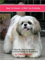 Shih Tzu Shoppe   How to Groom a Shih Tzu Perfectly A Step by Step 