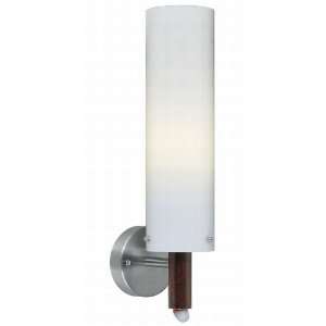  Dodo Collection 1 Light 20 Stainless Steel Wall Light 