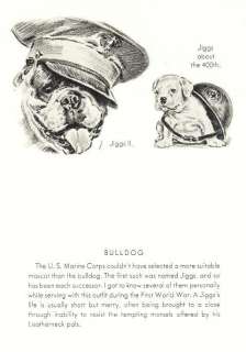 English Bulldog Jiggs 2   Dog Print   1946 Dennis  