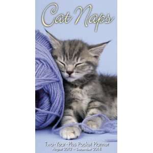  Cat Naps 2013 Pocket Planner