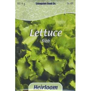  Lettuce   Heirloom   Bibb Patio, Lawn & Garden