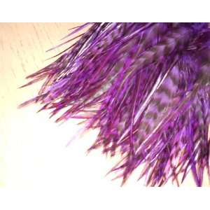  Purple Grizzly Feather Hair Extensions Beauty