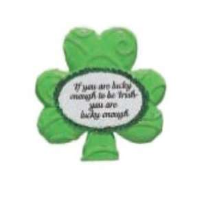  St. Patricks Day Magnet Case Pack 144 