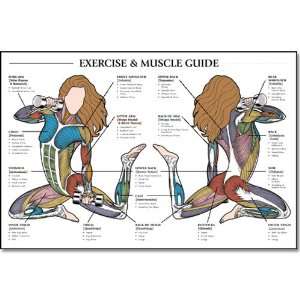  Female Exercise & Muscle Guide