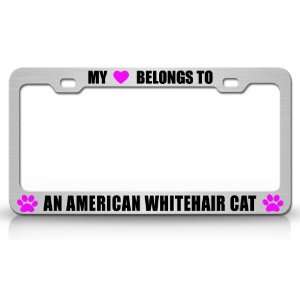  MY HEART BELONGS TO AN AMERICAN WIREHAIR Cat Pet Steel 