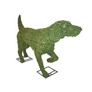  Pointer Mossed Topiary Frame