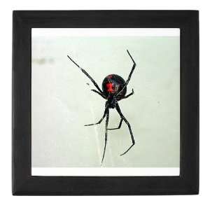  Black Widow Black widow spider Keepsake Box by  