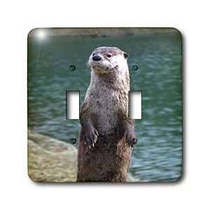  Wild animals   Otter   Light Switch Covers   double toggle 
