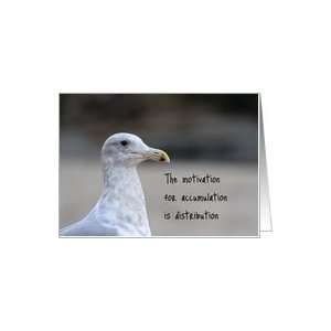 Motivation for accumulation is distribution, gull photo, blank inside 