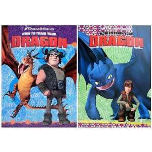   Train your Dragon Coloring and Activity Books (2 Books) Toys & Games