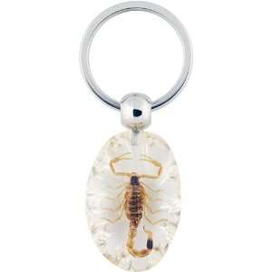  Amber / Clear Acrylic with Embedded Real Scorpion Key Ring 