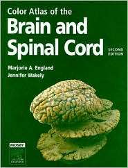 Color Atlas of the Brain and Spinal Cord, (0323036678), Marjorie A 