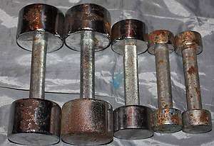 Lot of 5 Nautilus Dumbbells 30 Lbs  