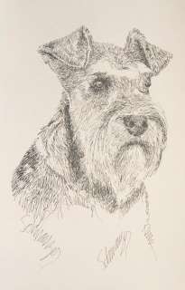 MINIATURE SCHNAUZER DOG ART by Kline WORD DRAWING #91 Your dogs name 