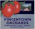 VINCENTOWN Vintage NJ New Jersey Apple Crate Label  