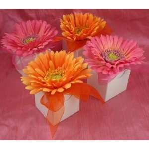  Gerber Daisy Favor Boxes with White Chocolate Amorini 
