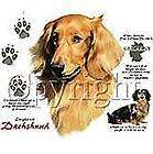 DACHSHUND, RED Red Longhair Dog Fabric 18 x 22 inch + 6 in Squares 