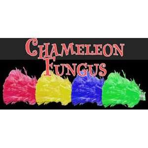  Chameleon Fungus Close Up Illusion Magic Tricks Trick 