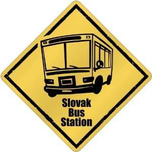   New  Slovak Bus Station  Slovakia Crossing Country