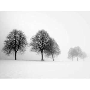  Winter Trees II   Ilona Wellman 27.56x19.6