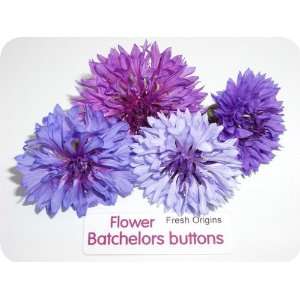 Edible Flower   Bachelors Button   4 x Grocery & Gourmet Food