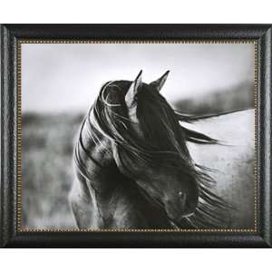  Fierce Grace Tony Stromberg Western Horses Gallery Quality 